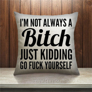 Funy Phrases Pillow Covers